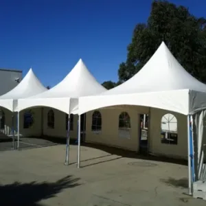 Marquee 4 Hire By Inventiva Creative Studio 5x15 Spring Top.jpg
