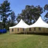 Marquee 4 Hire By Inventiva Creative Studio 6x12 Spring Top.jpg