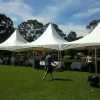 Marquee 4 Hire By Inventiva Creative Studio 6x18 Spring Top.jpg