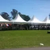 Marquee 4 Hire By Inventiva Creative Studio 6x24 Spring Top.jpg