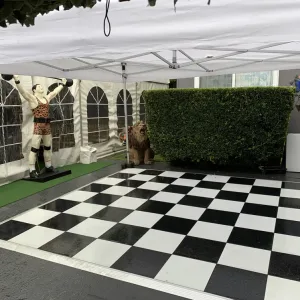Marquee 4 Hire By Inventiva Creative Studio Img 0413.jpg