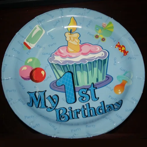 Marquee 4 Hire By Inventiva Creative Studio Boy My First Birthday Paper Dinner Plates02.jpg